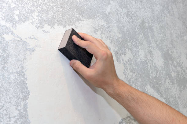 Best Airborne Mold Testing  in Harwood Heights, IL