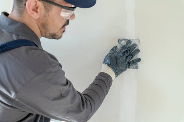 Best Water Damage & Mold Remediation  in Harwood Heights, IL