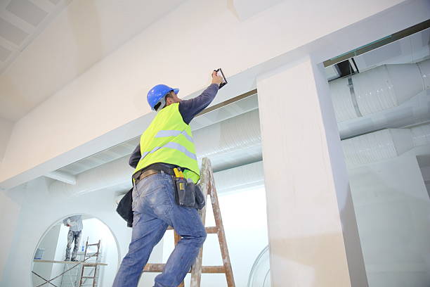 Best Attic Mold Removal  in Harwood Heights, IL