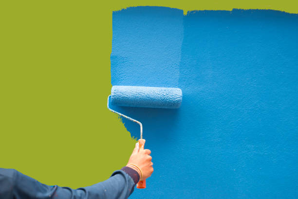Best Black Mold Removal  in Harwood Heights, IL
